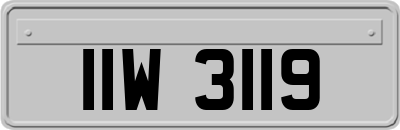 IIW3119
