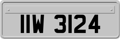 IIW3124
