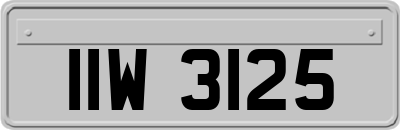 IIW3125