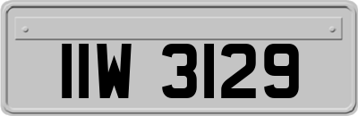IIW3129