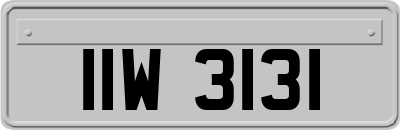 IIW3131