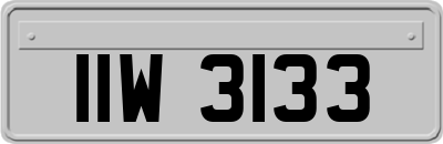 IIW3133