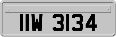 IIW3134
