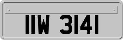 IIW3141