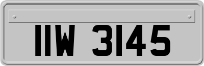 IIW3145