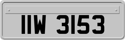 IIW3153