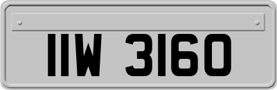 IIW3160