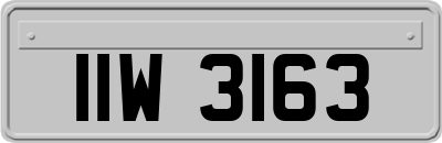 IIW3163