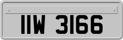 IIW3166