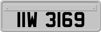 IIW3169