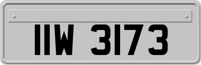 IIW3173