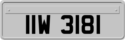 IIW3181