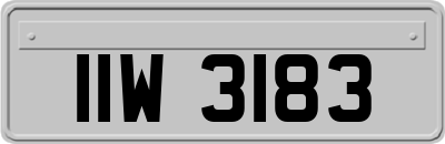 IIW3183