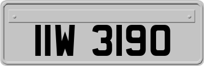 IIW3190