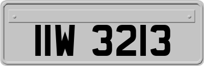 IIW3213