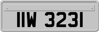 IIW3231