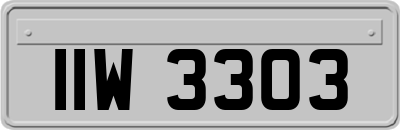 IIW3303