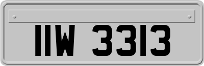 IIW3313