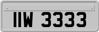 IIW3333