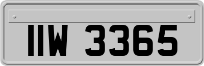 IIW3365