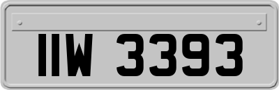 IIW3393