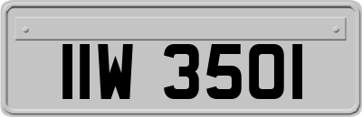 IIW3501