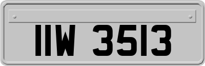 IIW3513
