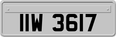 IIW3617