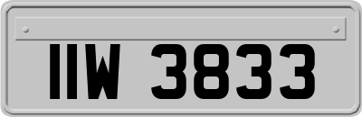 IIW3833
