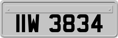 IIW3834