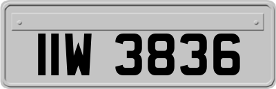IIW3836