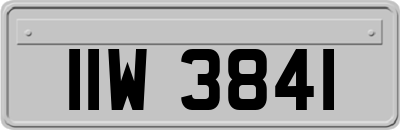 IIW3841