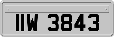 IIW3843