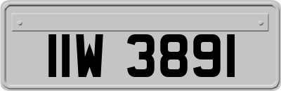 IIW3891