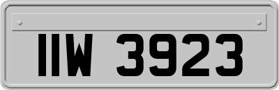 IIW3923