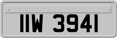 IIW3941