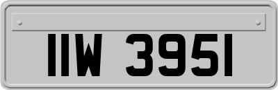 IIW3951