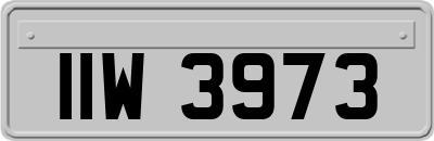 IIW3973