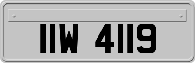 IIW4119