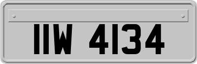 IIW4134