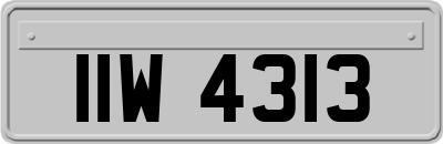 IIW4313