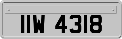 IIW4318