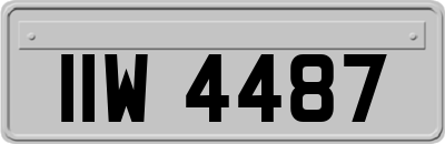 IIW4487