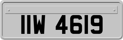 IIW4619