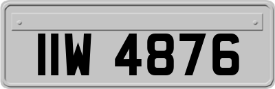 IIW4876