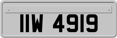 IIW4919