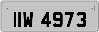IIW4973