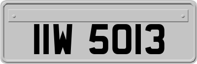 IIW5013
