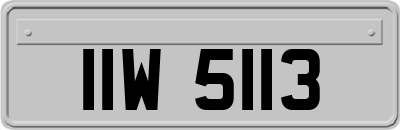 IIW5113