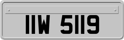 IIW5119